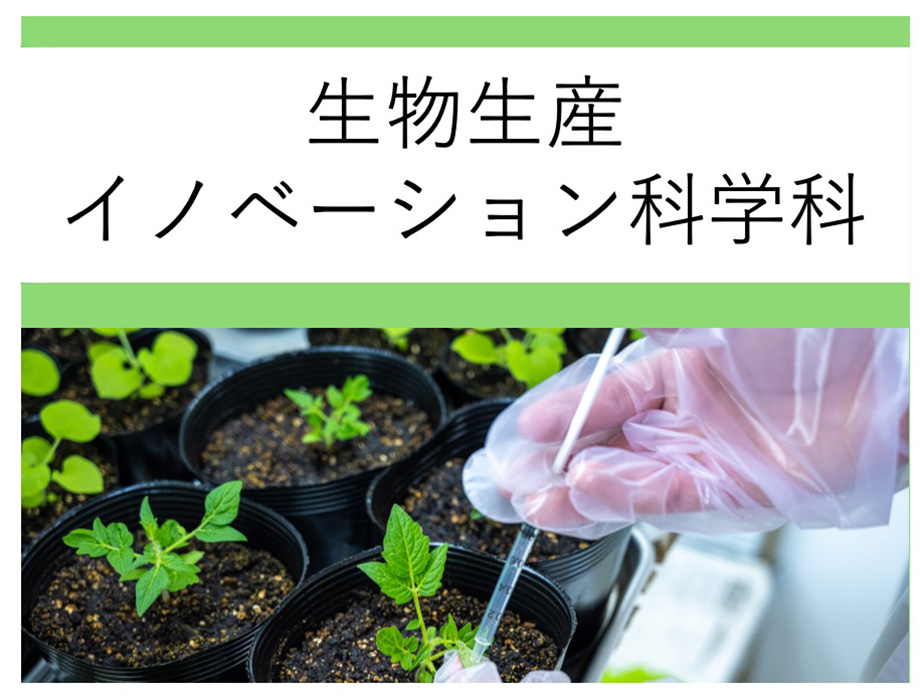 生物生産イノベーション化学科