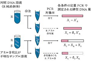 ［プレスリリース］野外の生物集団の遺伝子頻度を効率よく推定する統計モデルを開発－複数個体を一括して抽出したサンプルにおける DNA量の個体差に対処する－