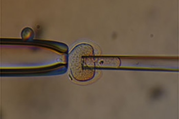 分子農学プログラム画像