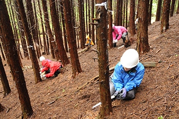 森林生産保全学プログラム画像