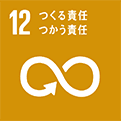 Goal 12. Ensure sustainable consumption and production patterns