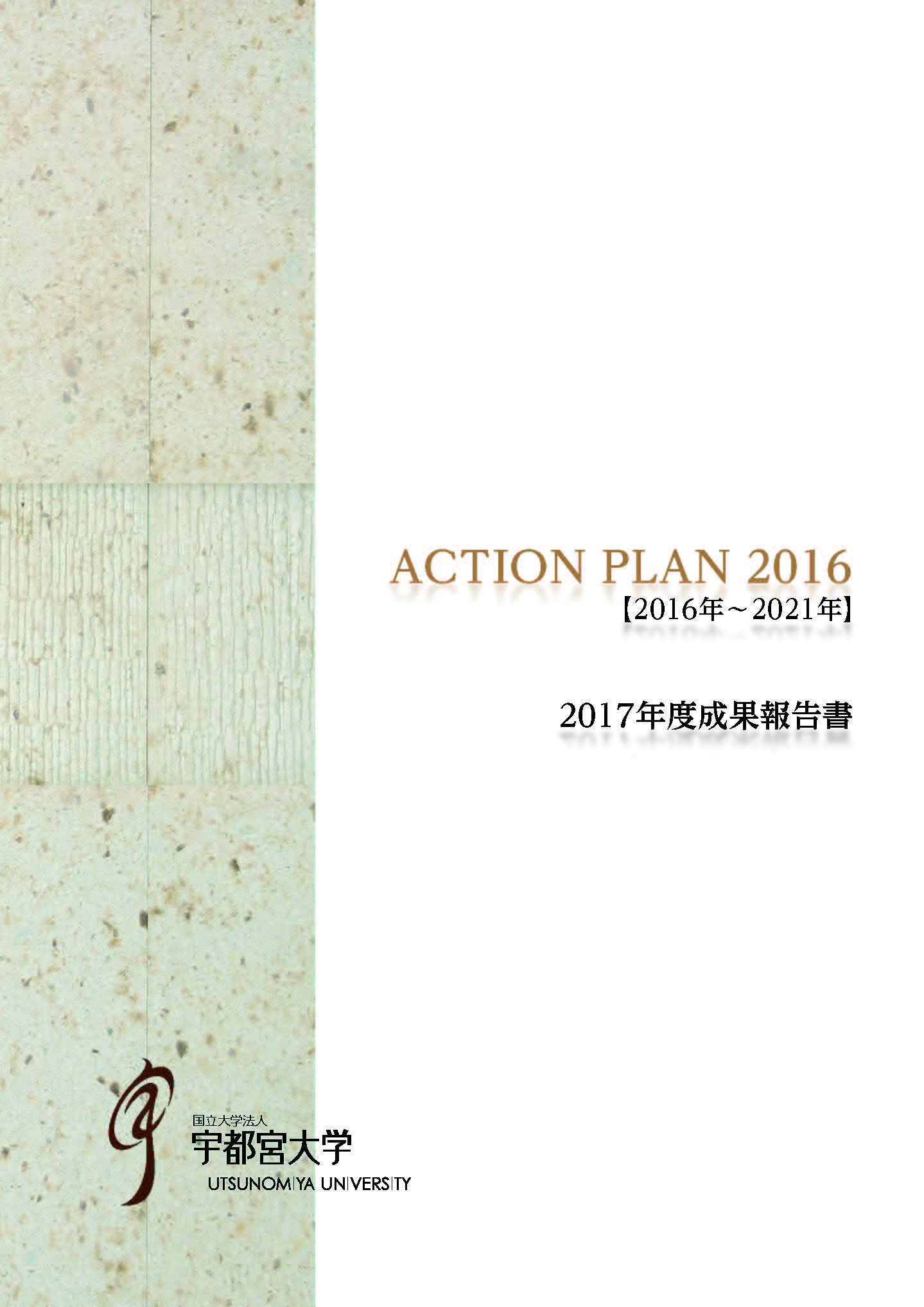 Action Plan 16 Action Plan 16