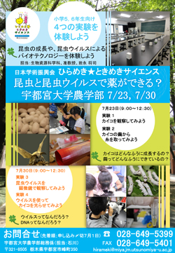 160723&30hirameki_chirashi.jpg