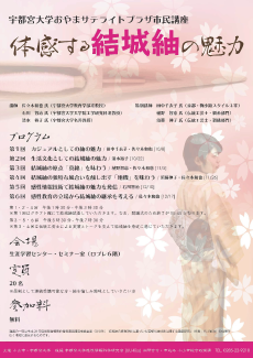 161008-1217satellitekouza.png