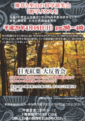 170416yagakunosusume.png
