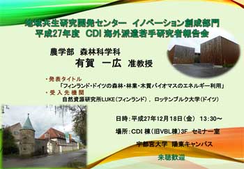 2015CDIwakatekenkyusyahokokukai.jpg