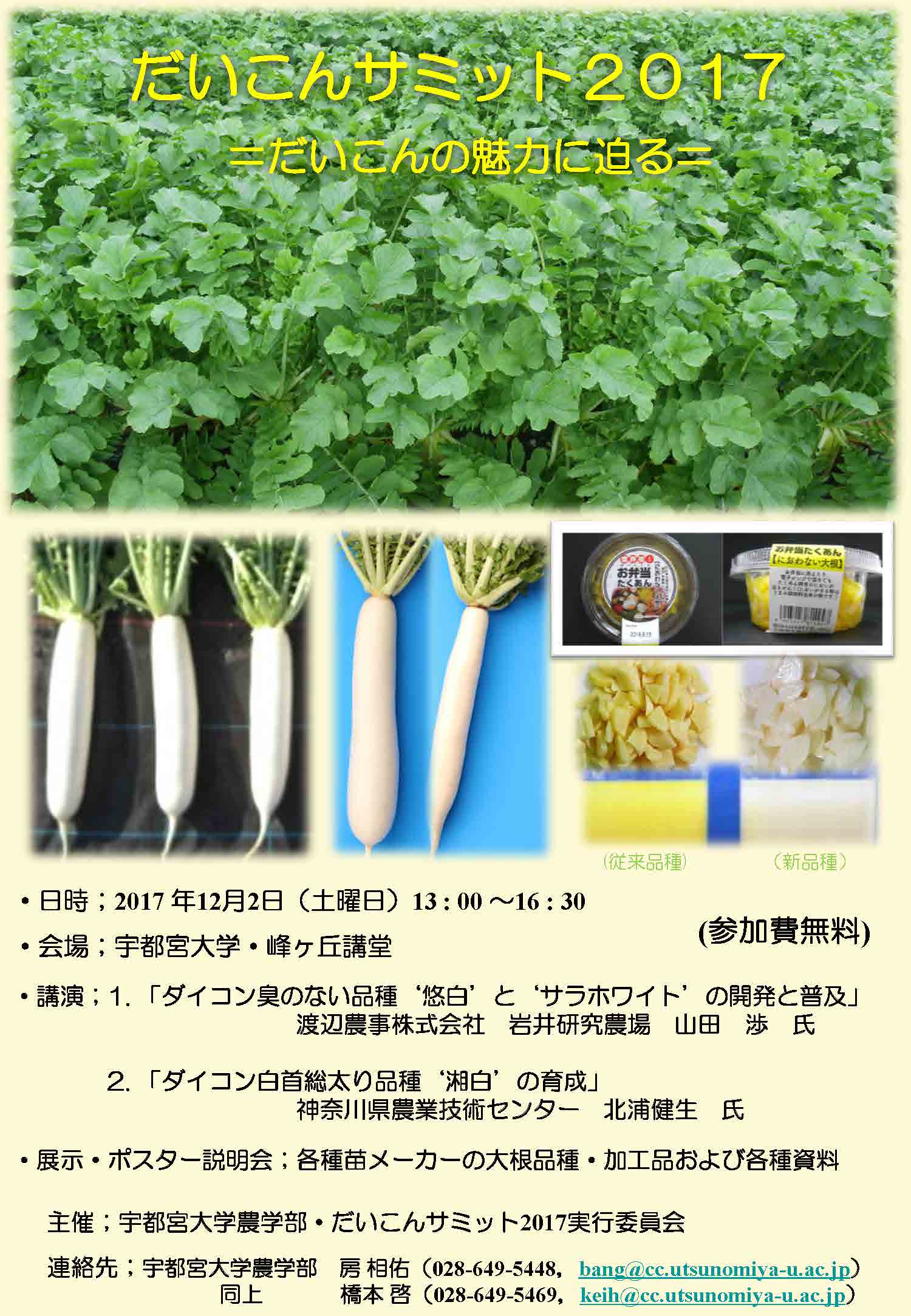 2017daikon_summit.jpg
