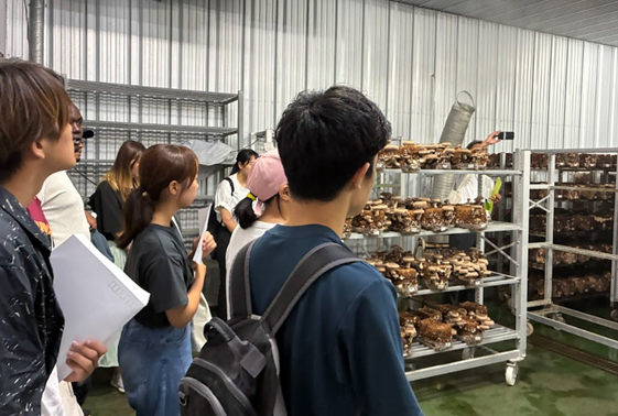 見学の様子