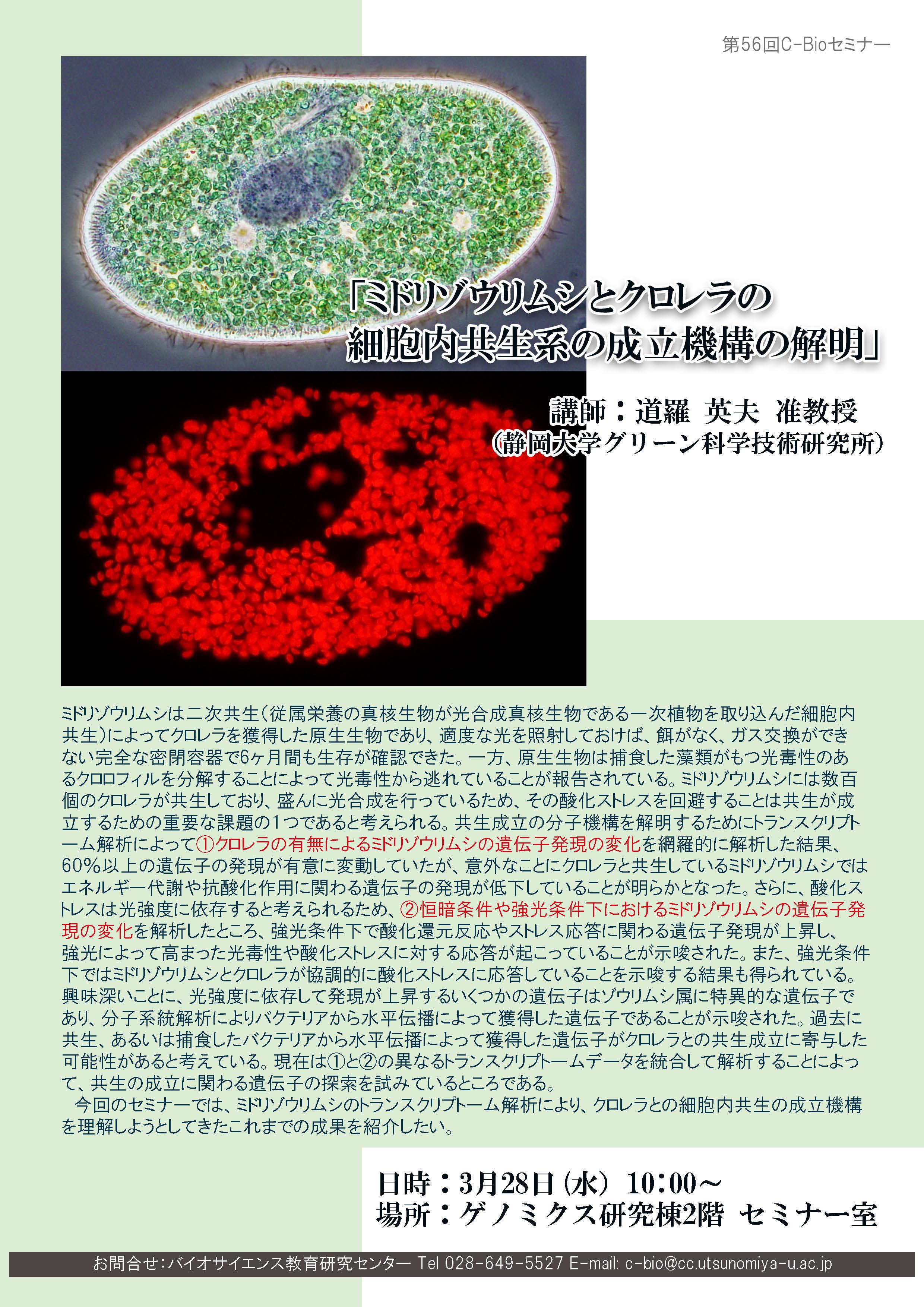 C-Bio56.jpg