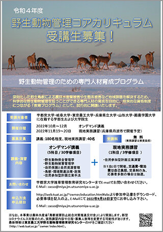 募集のチラシ