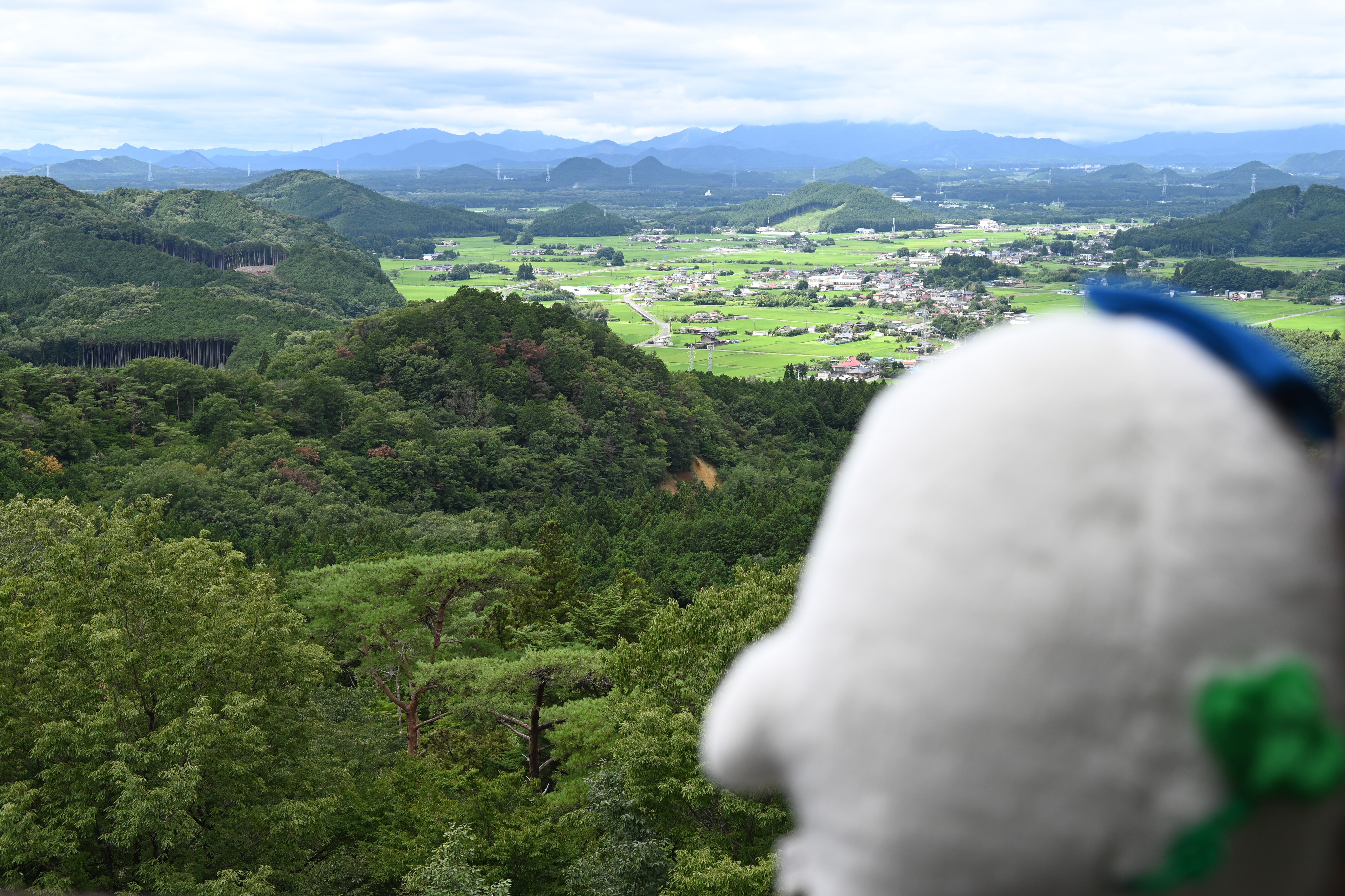 展望台からの景色