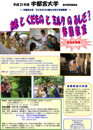 fusigitaiken_130426.jpg
