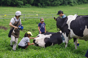 h26milk.jpg