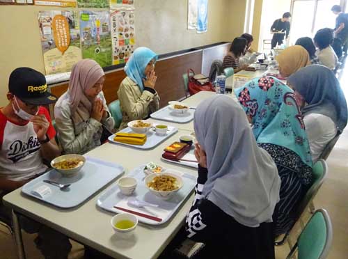 halal_meal_startw500.jpg