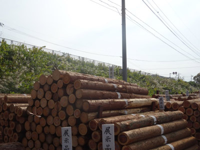 mokuzaitenjiten-nyusho-w400.jpg