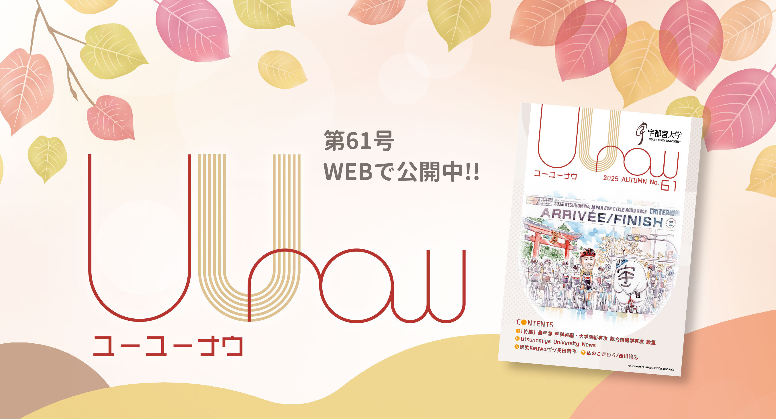 UUnow61号