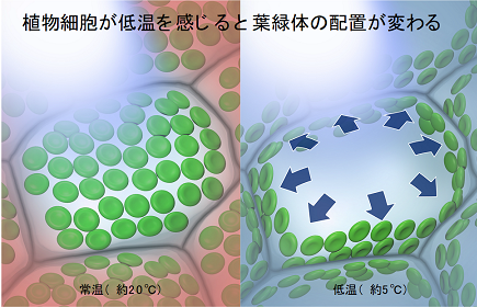 図1