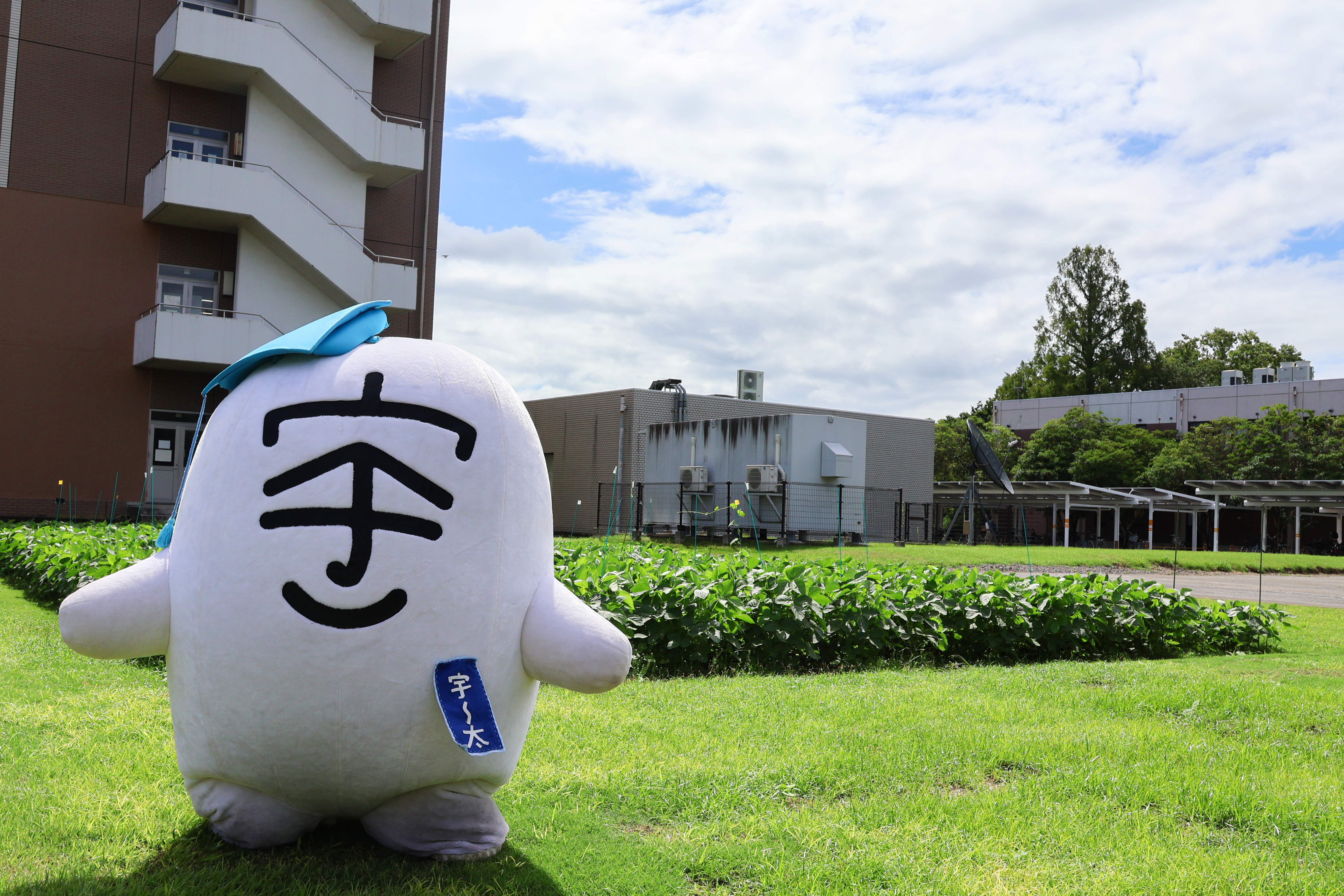 圃場