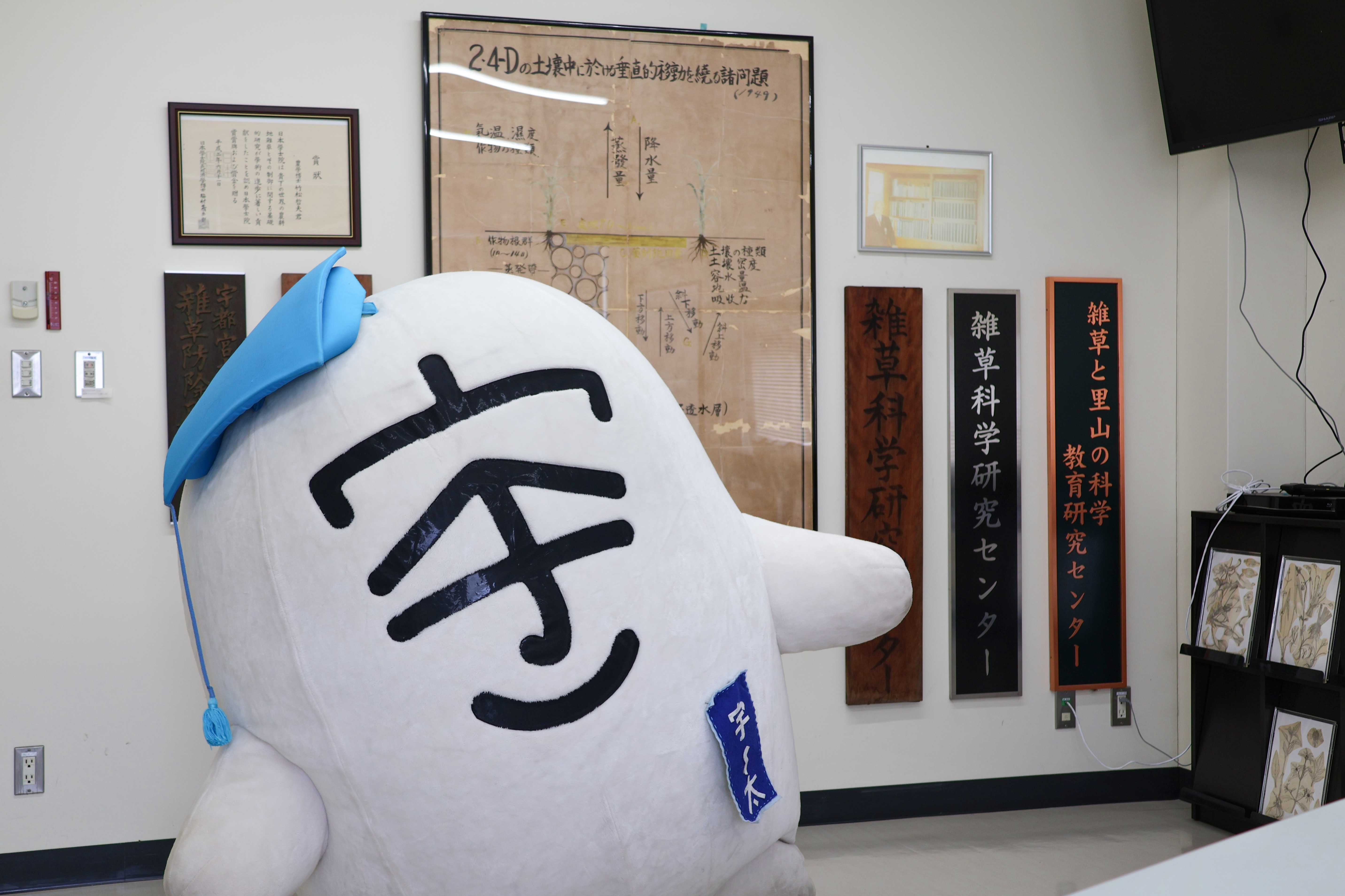 過去の名称の看板と